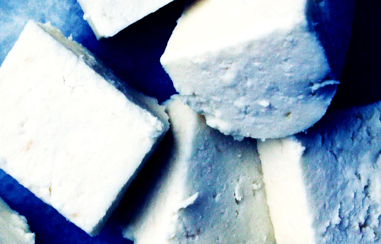 Diferencias entre paneer y queso