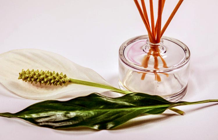 Diferencias entre perfume y body spray