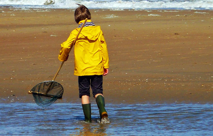 Diferencias entre rompevientos y chubasquero