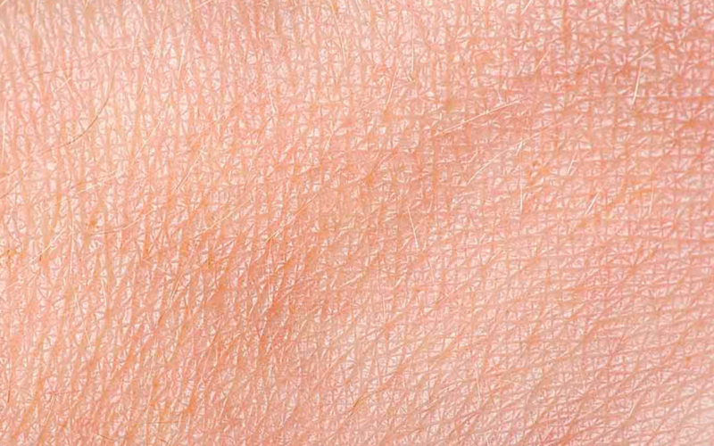 Qué funciones tiene la piel