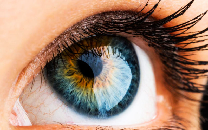 Cuáles son las enfermedades de la visión