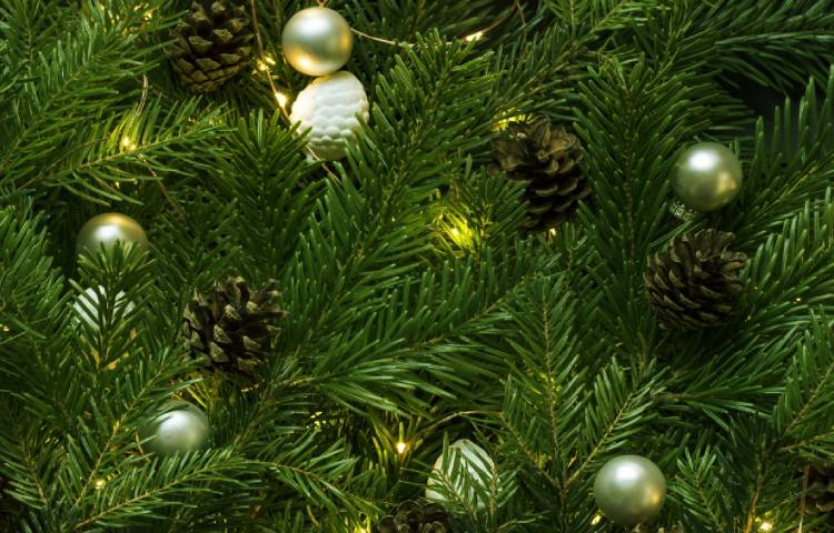 Diferencias entre Navidad y Hanukkah