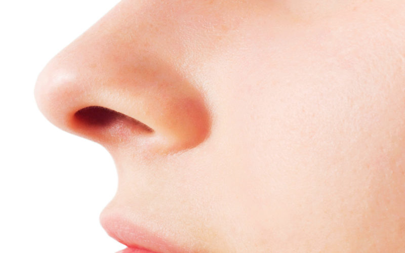 Para qué sirve la nariz