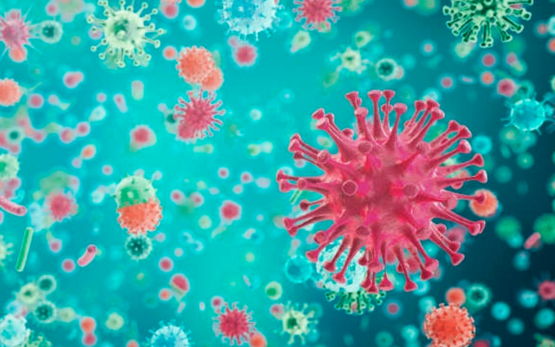 Qué características tienen los virus