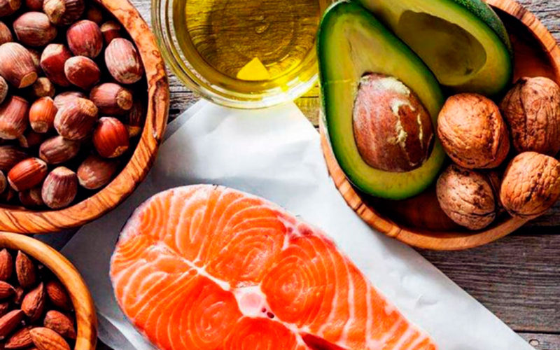 Qué funciones tienen los lípidos