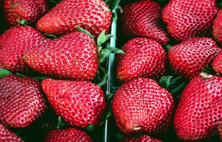 Datos interesantes de las fresas