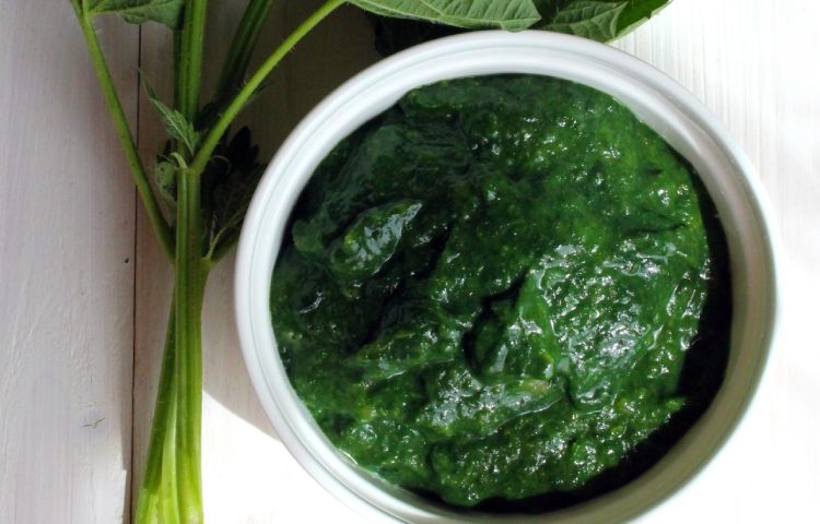 Datos interesantes del ácido fólico