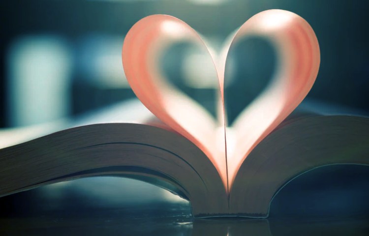 Diferencias entre amor y sabiduría