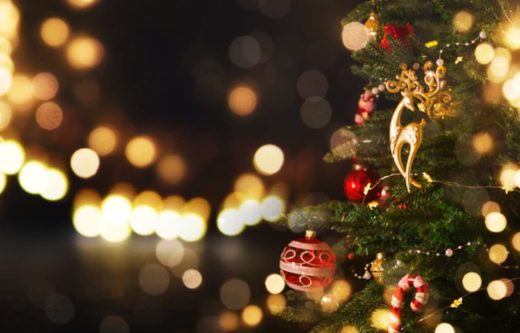 Diferencias entre Navidad y Adviento