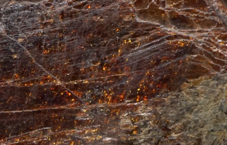 Ejemplos de minerales fosfatos