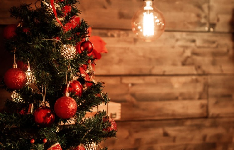 Qué dice la Biblia sobre el árbol de Navidad