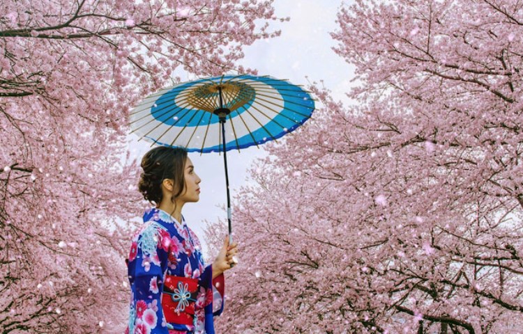 Qué es la cultura común de Japón