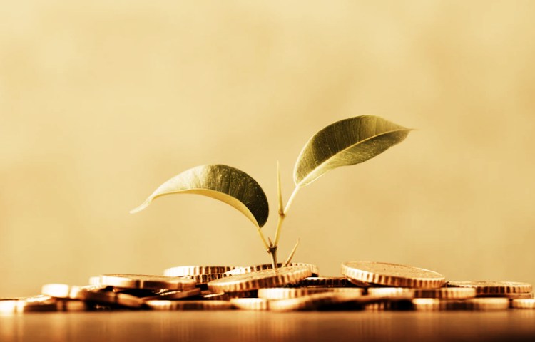 Semejanzas entre ahorro e inversión