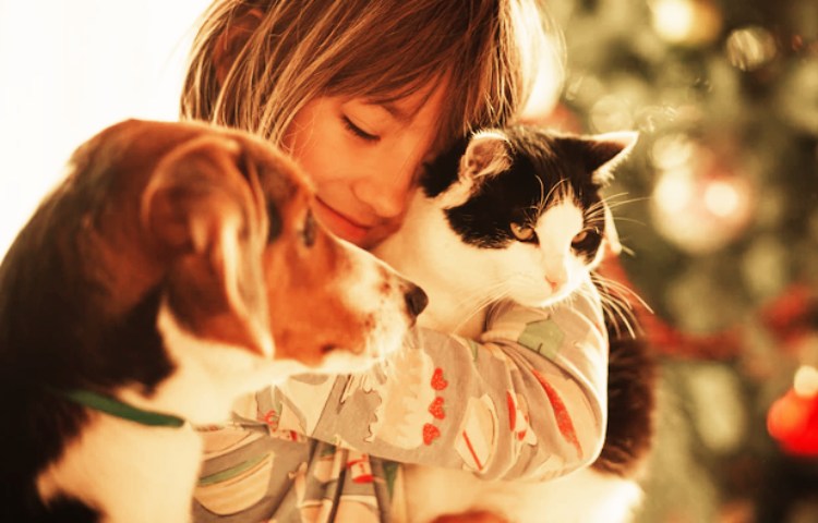 Semejanzas entre perros y gatos