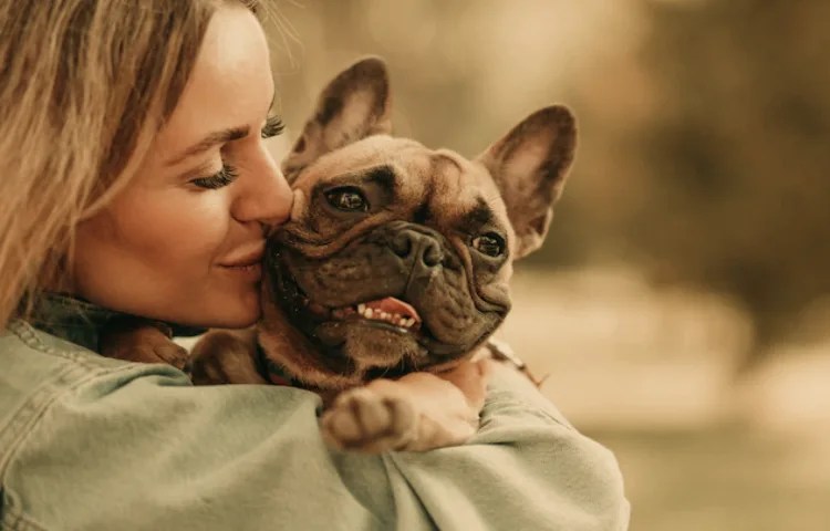 Semejanzas entre perros y lobos