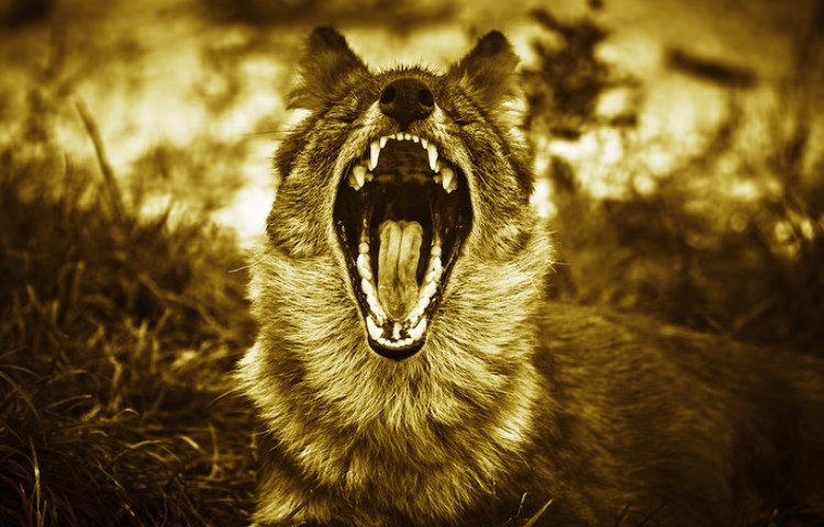 Qué animal representa la maldad