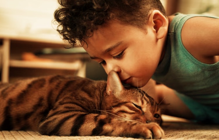 Qué semejanzas presentan los hombres y los animales