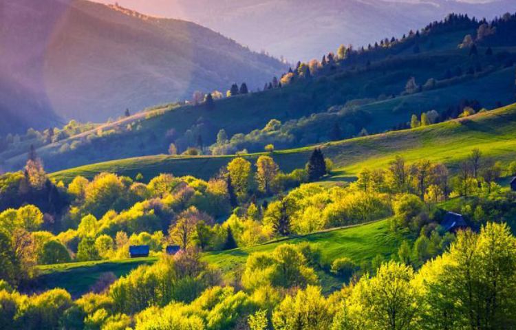 Diferencias entre Ucrania y Uruguay